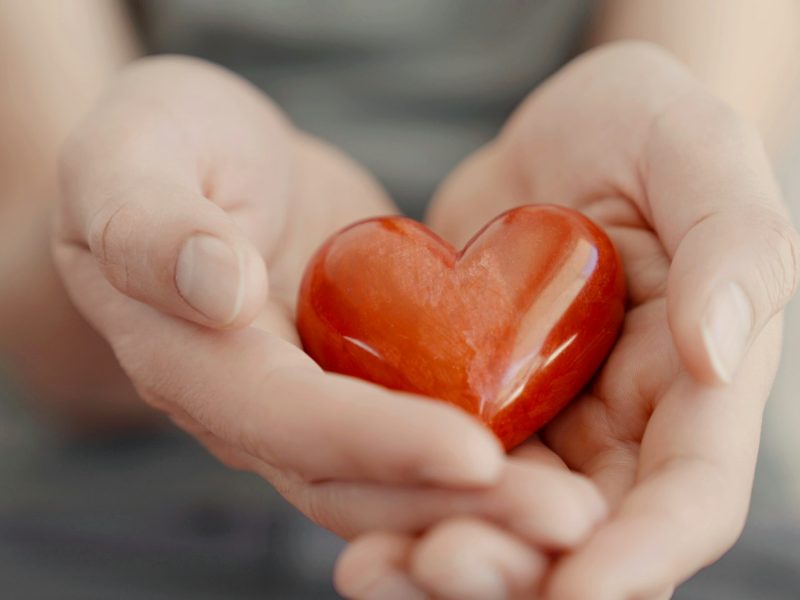 Hands holding red heart, heart health insurance, happy charity volunteer